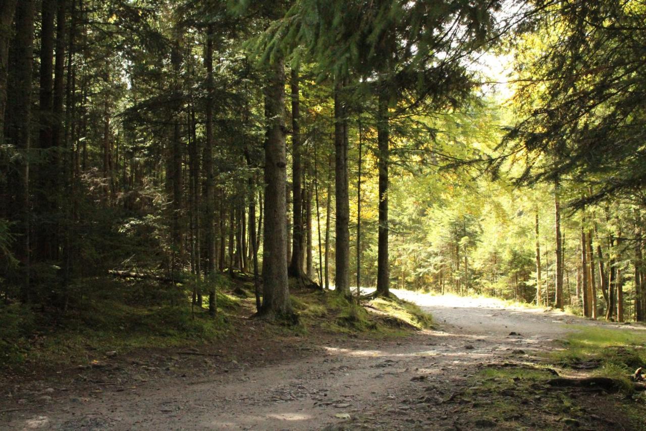 Zespol Dolina Bialego - Pensjonat Telimena Zakopane Exterior photo
